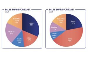 China to become top source of new cars in Australia, fuelled by emissions regs – report