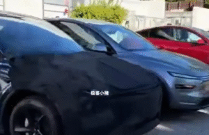 ‘Budget’ Tesla Model Y spied: How EV brand will get the price down