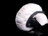 Temu Takata? Exploding ‘fake’ airbags under investigation after multiple deaths