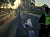 Australian state plans major crackdown on drug driving
