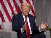 Tiny Japanese Kei cars have a surprising supporter: Donald Trump