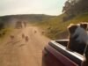 Toyota HiLux ad thrown to the dogs after breach of advertising code