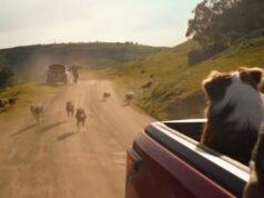Toyota HiLux ad thrown to the dogs after breach of advertising code