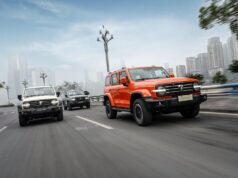 Chinese brands claim a quarter of Aussie auto market, but accounting firm says boom won’t last