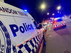 Relaxing of state drug-driving laws proposed for medicinal cannabis users – report